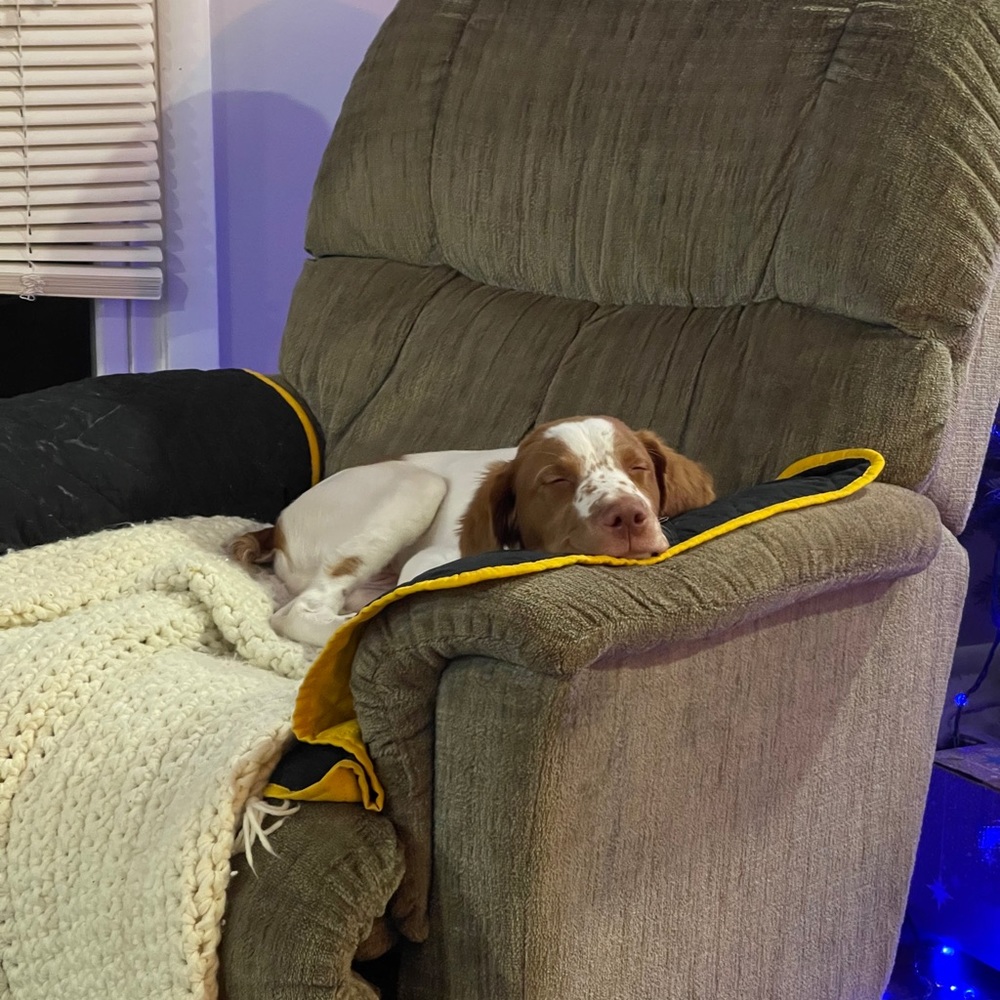 Meet your Posher, Katie